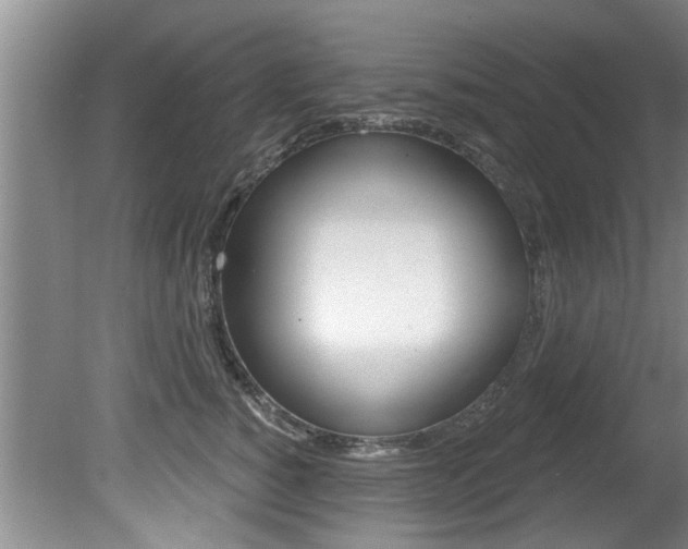 X0000080790760200612151058