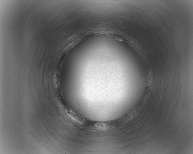 X0000080790764200612151058