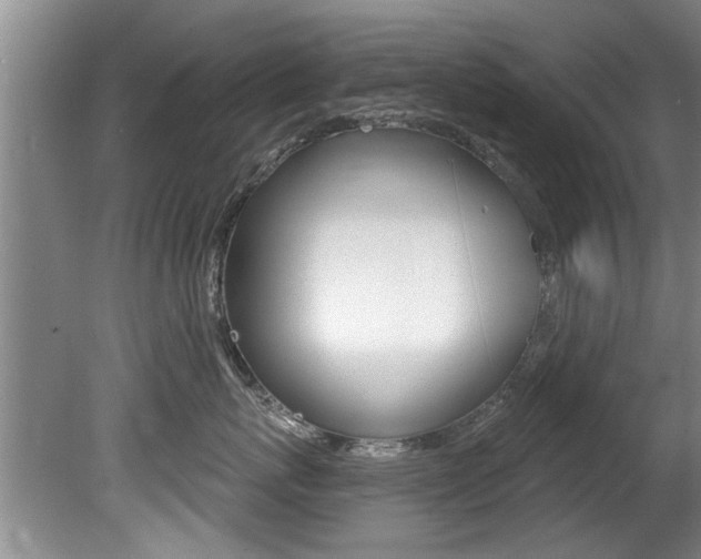 X0000080790767200612151058