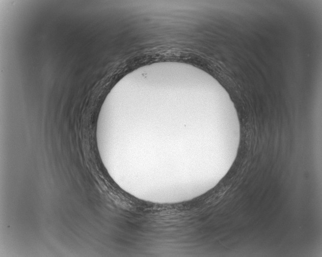 X0000080790769200612151057