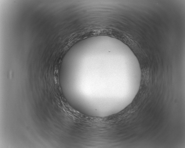 X0000080790770200612151057