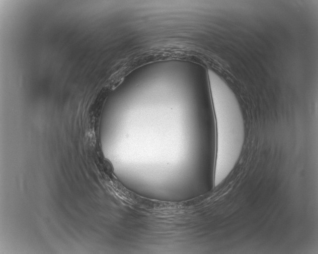 X0000080790771200612151057