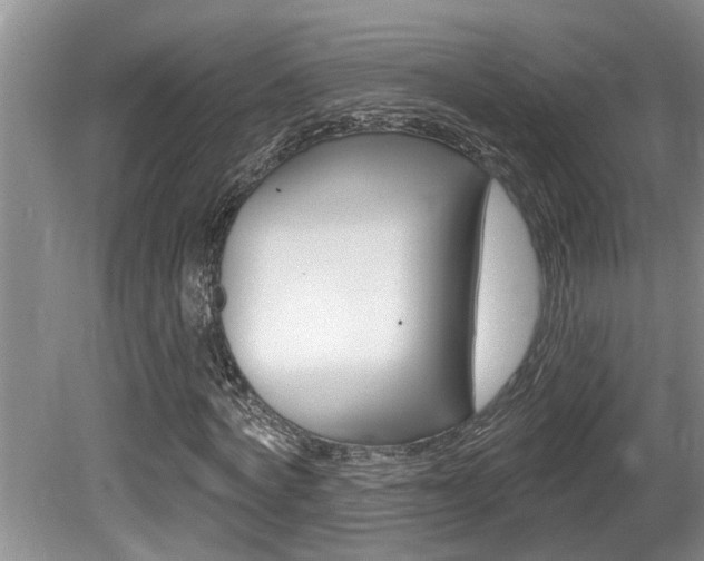 X0000080790772200612151057