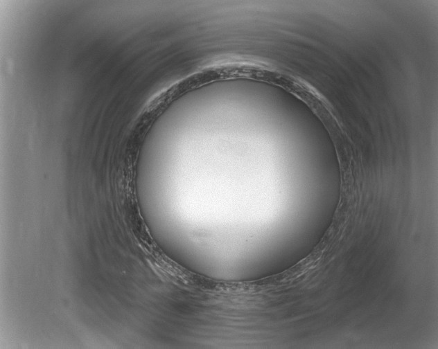 X0000080790775200612151057