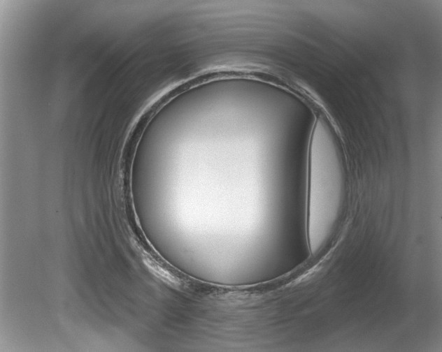 X0000080790779200612151057