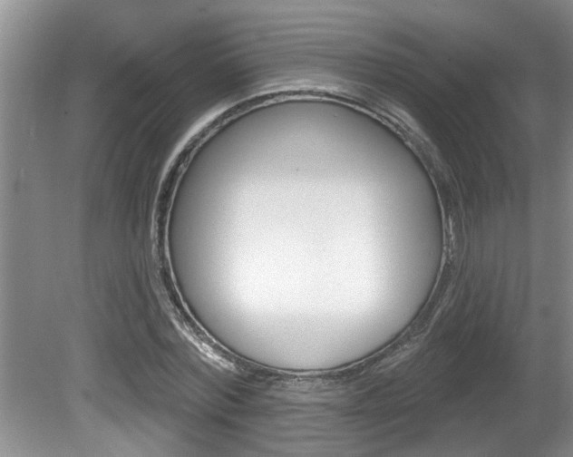 X0000080790780200612151057