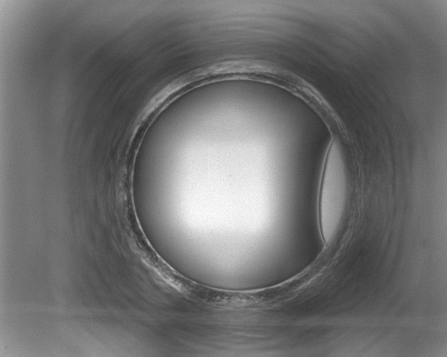 X0000080790786200612151057