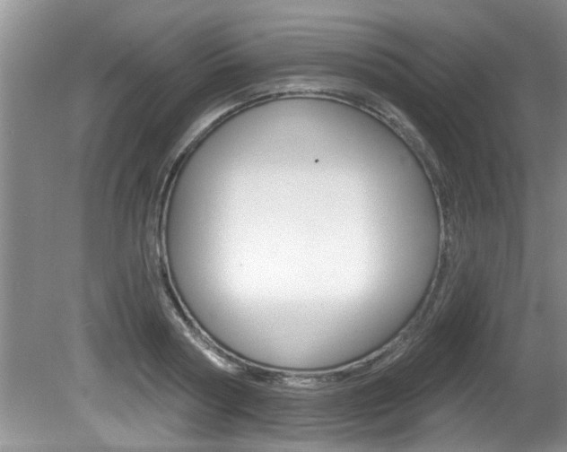 X0000080790794200612151056
