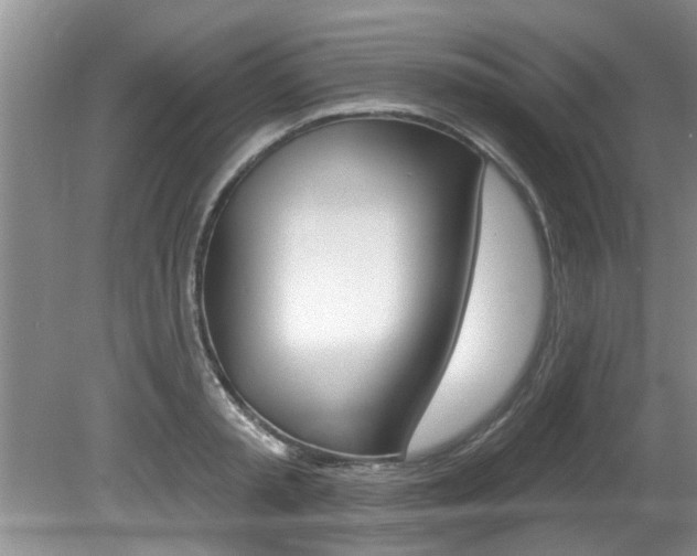 X0000080790797200612151056