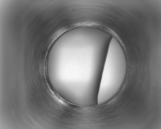 X0000080790802200612151056