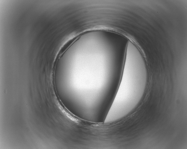 X0000080790805200612151056