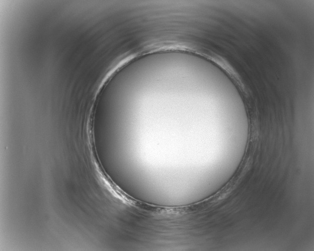 X0000080790806200612151056