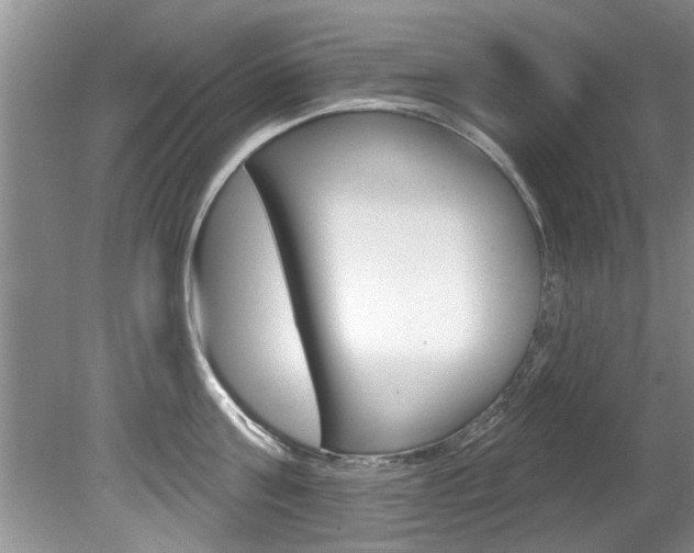 X0000080790811200612151056