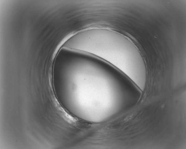 X0000080790812200612151056