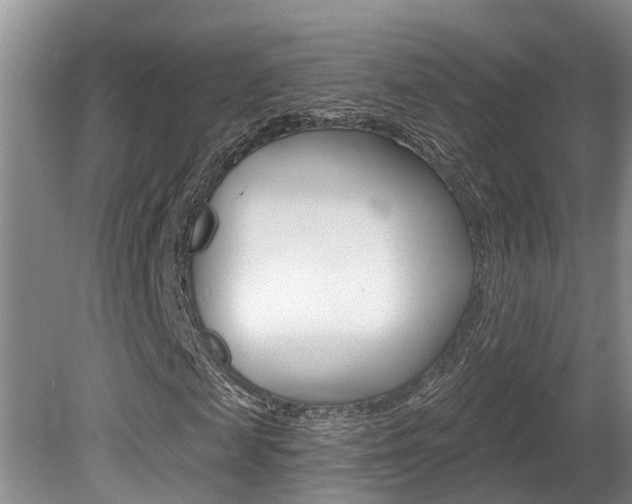 X0000080790817200612151055