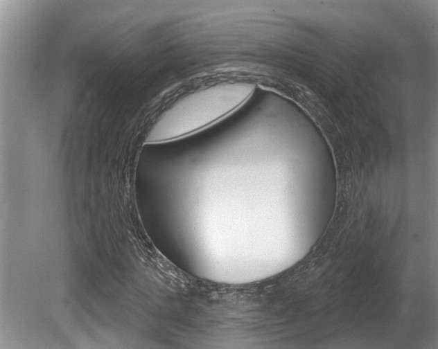 X0000080790821200612151055