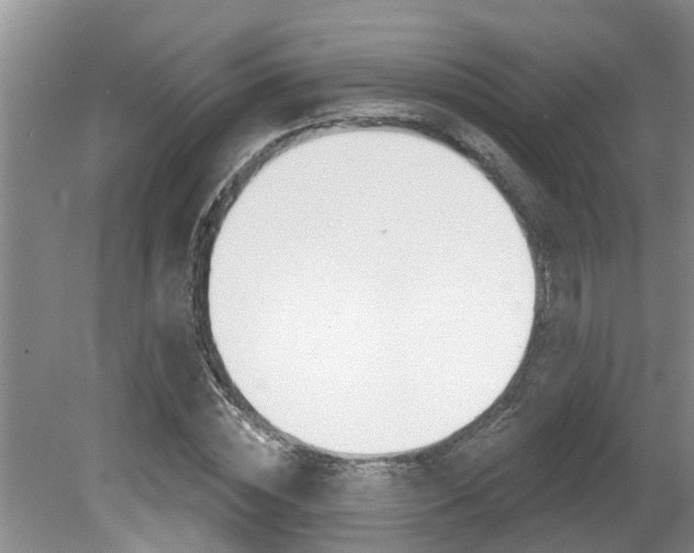 X0000080790828200612151055