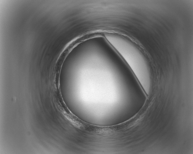X0000080790830200612151055