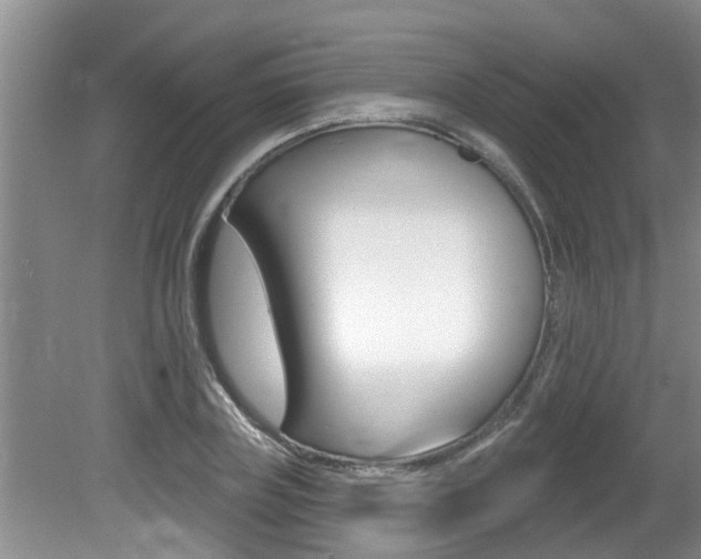 X0000080790835200612151056