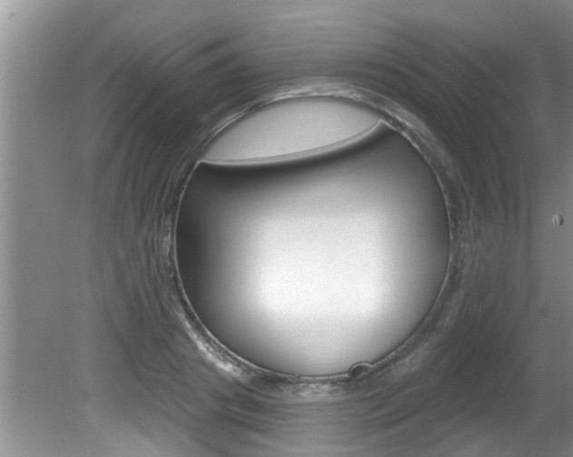X0000080790841200612151056