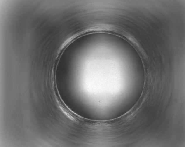 X0000080790842200612151056