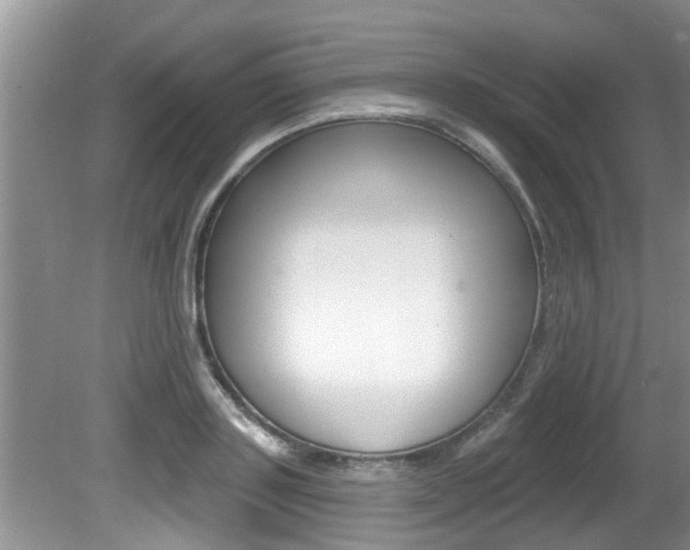 X0000080790843200612151056