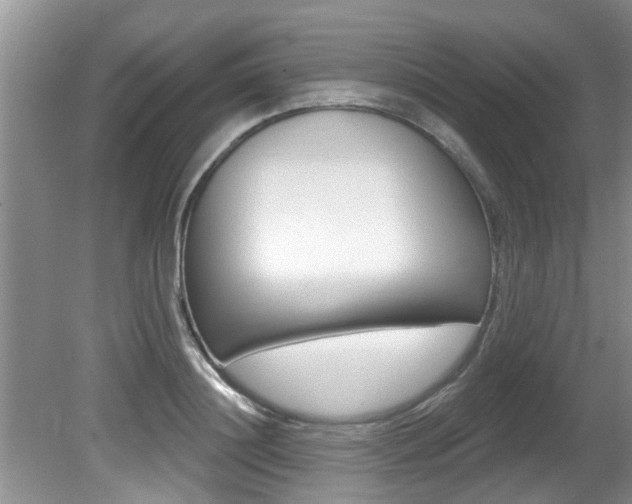 X0000080790844200612151056