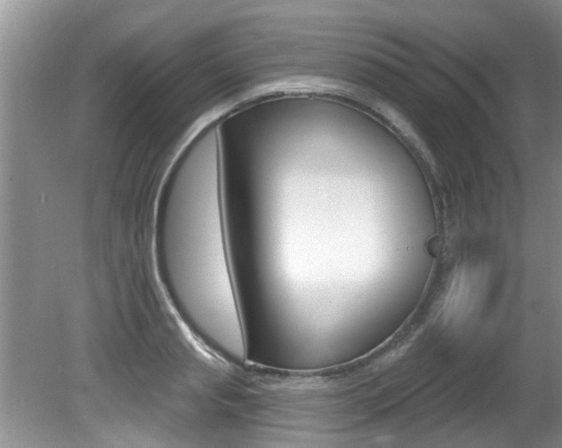 X0000080790845200612151056