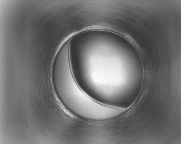 X0000080790854200612151056