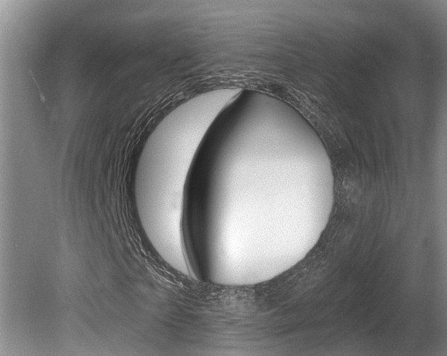 X0000080790865200612151055