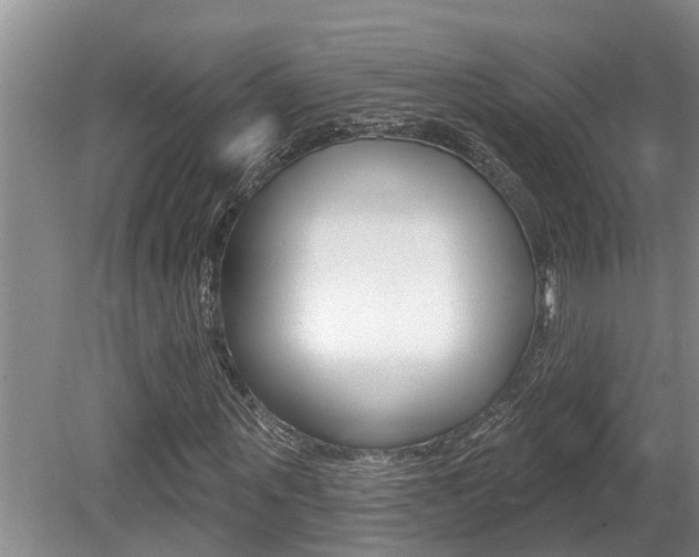 X0000080790867200612151055