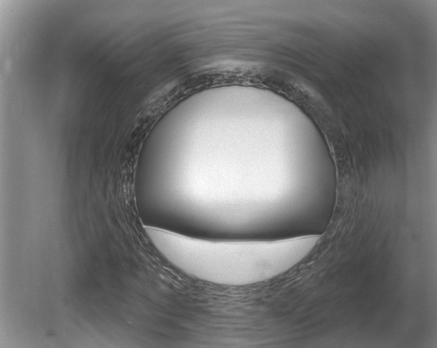 X0000080790869200612151055