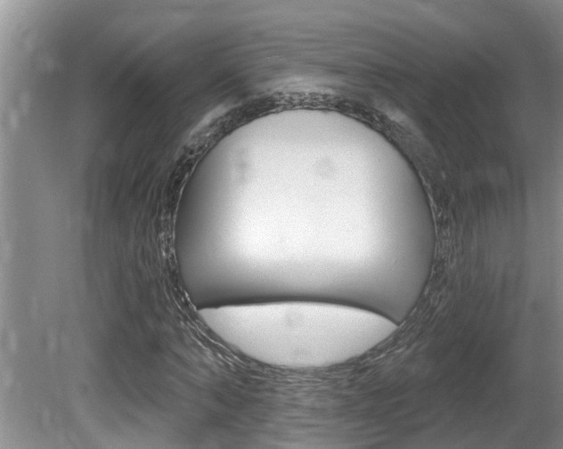 X0000080790870200612151055