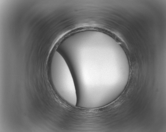 X0000080790879200612151055