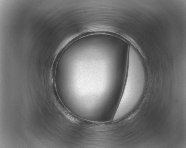 X0000080790885200612151055