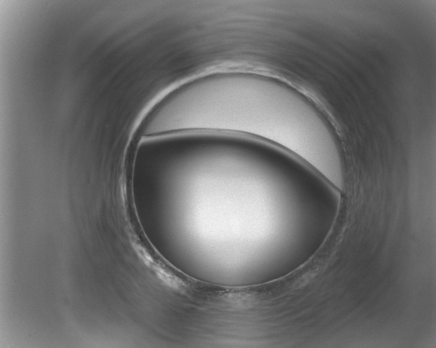 X0000080790888200612151055