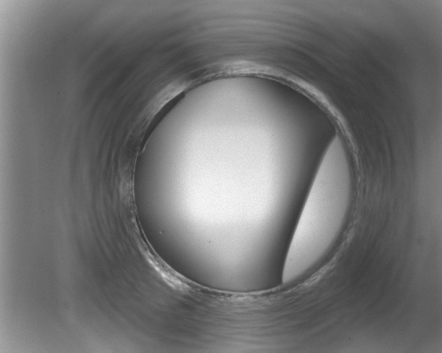 X0000080790897200612151055
