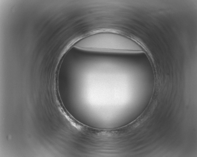 X0000080790898200612151055