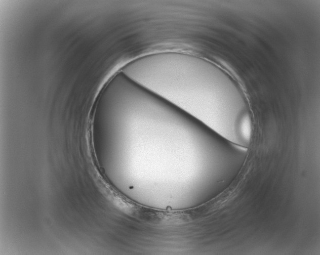 X0000080790899200612151055