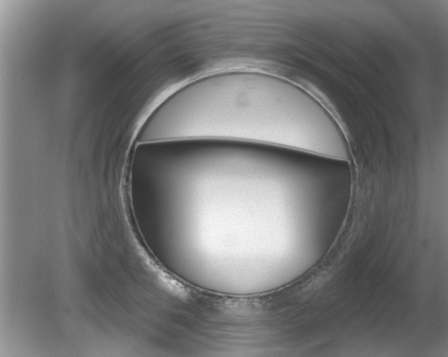 X0000080790901200612151055