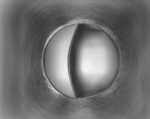 X0000080790912200612151054