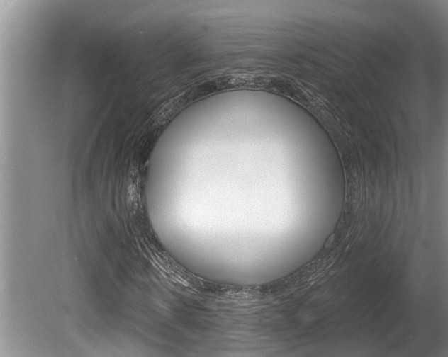 X0000080790914200612151054