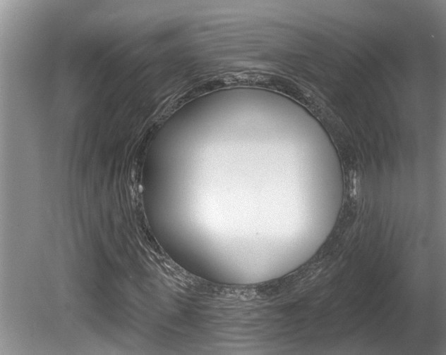 X0000080790915200612151054