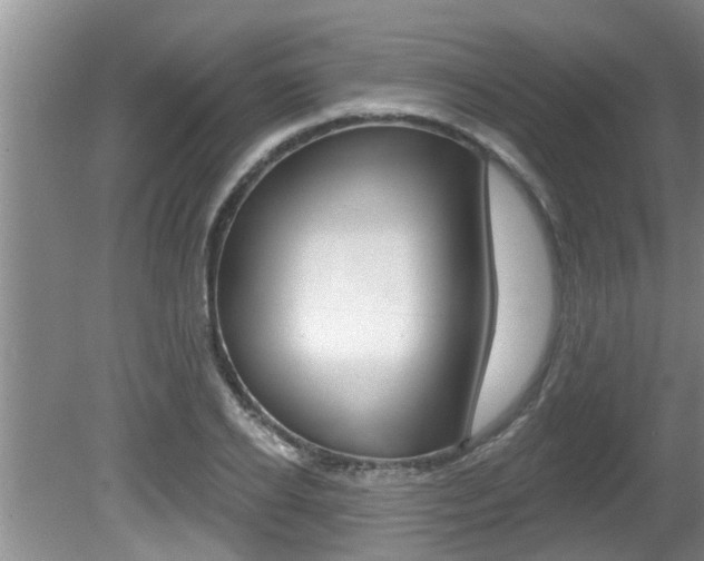 X0000080790934200612151054