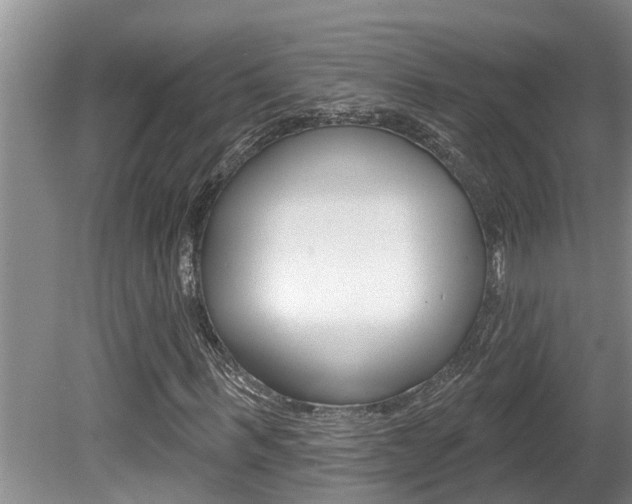 X0000080790963200612151054