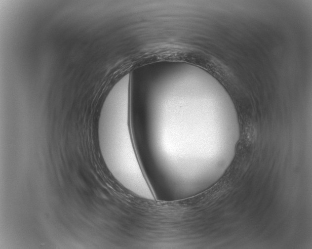 X0000080790964200612151054