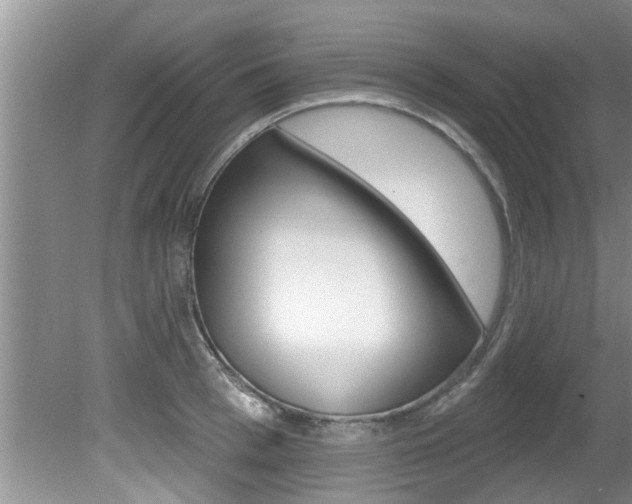 X0000080790993200612151053