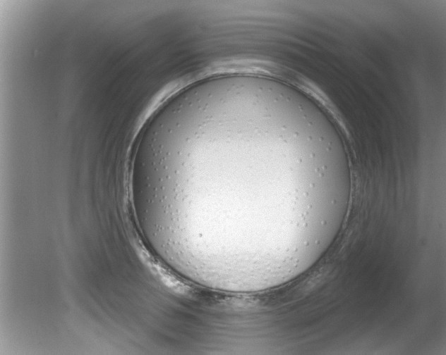 X0000080790994200612151053
