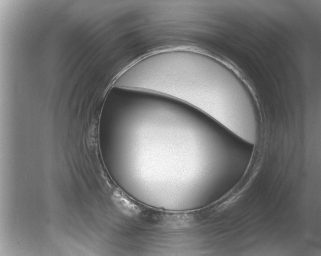 X0000080791001200612151053