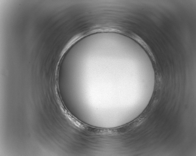 X0000080791002200612151053
